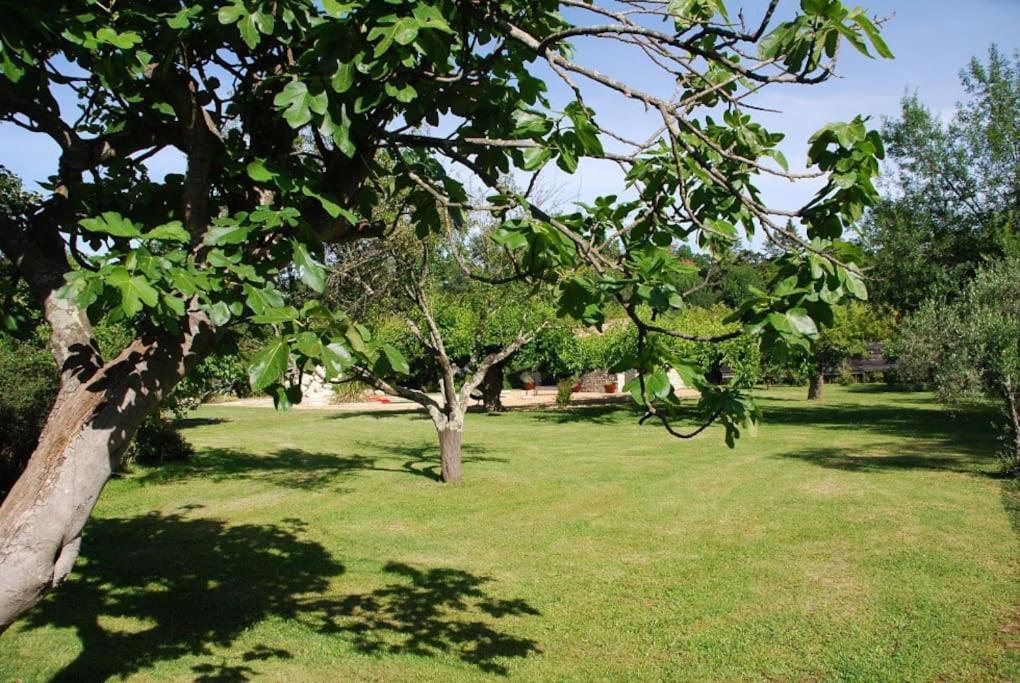 Gite De Charme 80 M², Piscine, Proche D'Uzes. Vezenobres Luaran gambar