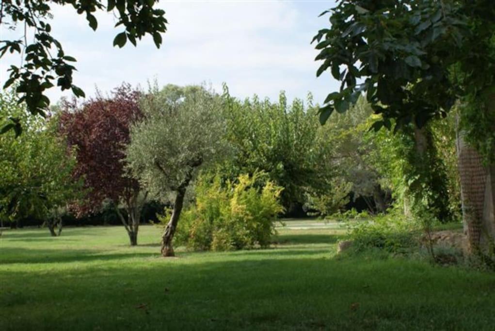 Gite De Charme 80 M², Piscine, Proche D'Uzes. Vezenobres Luaran gambar